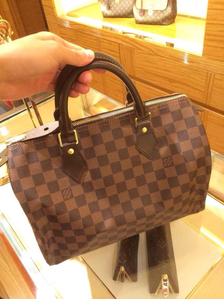 Louis Vuitton Damier Ebene Canvas Speedy 30 Bag N41531